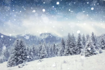 好的坏的都是风景——愿你学会珍惜和感恩