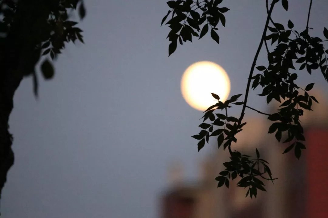 大唐最牛20位诗人，把中国最好的月色写绝了